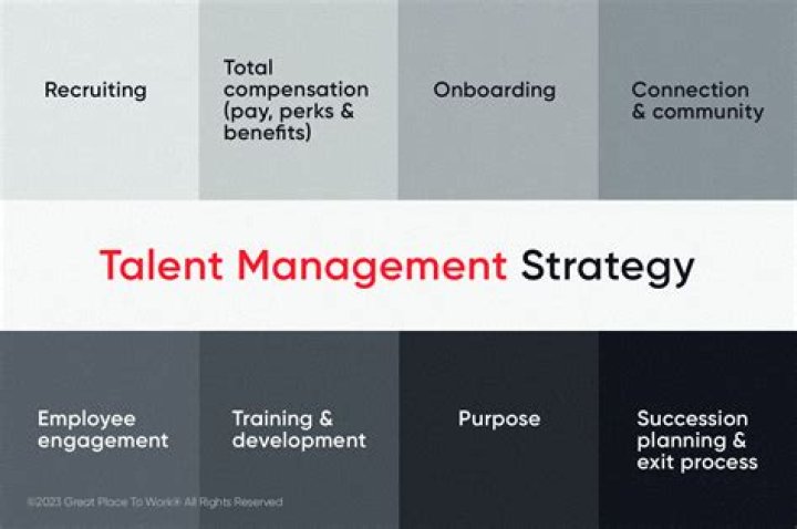 A Journey Of Talent, Strategy, And Success