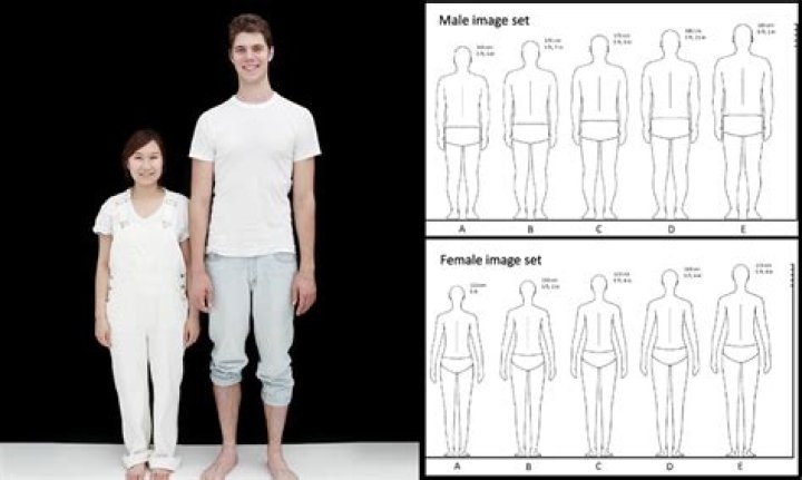 Discoveries And Insights Into Height, Age, And Beyond