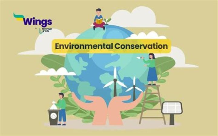 Discoveries And Insights On Environmental Conservation