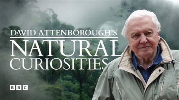 Exploring David Attenborough's Net Worth