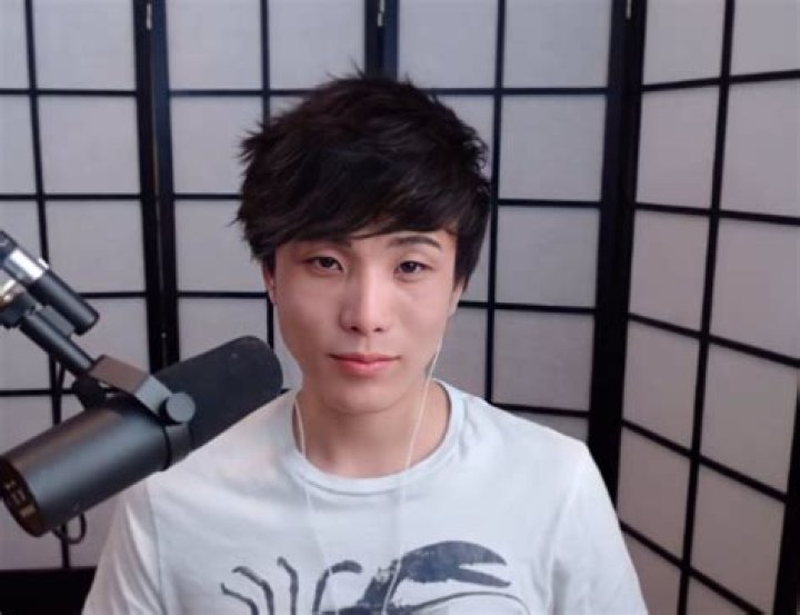 Is Sykkuno Korean? - SnogBlogy