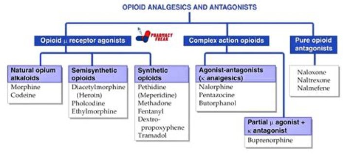 Opioids Laced With Synthetic Drugs