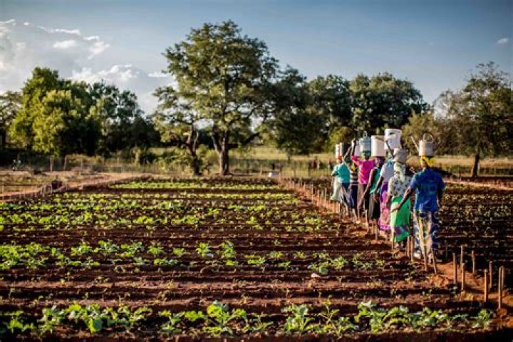 The Man, His Mission, And The Future Of Zimbabwe