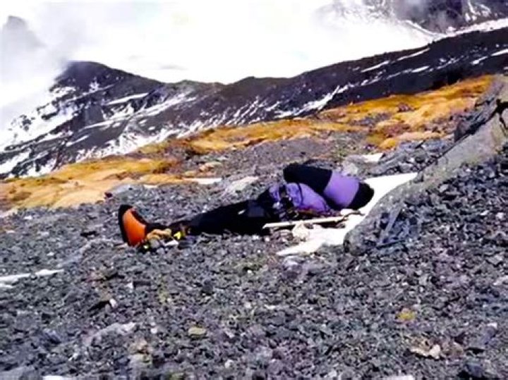 The Moraga Murder-Suicide: Unraveling A Chilling Tragedy