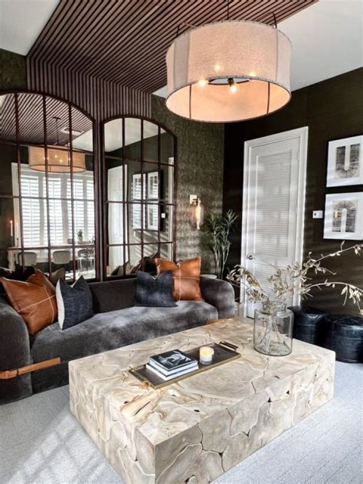 TV Star, Design Guru, And Home Reno Expert