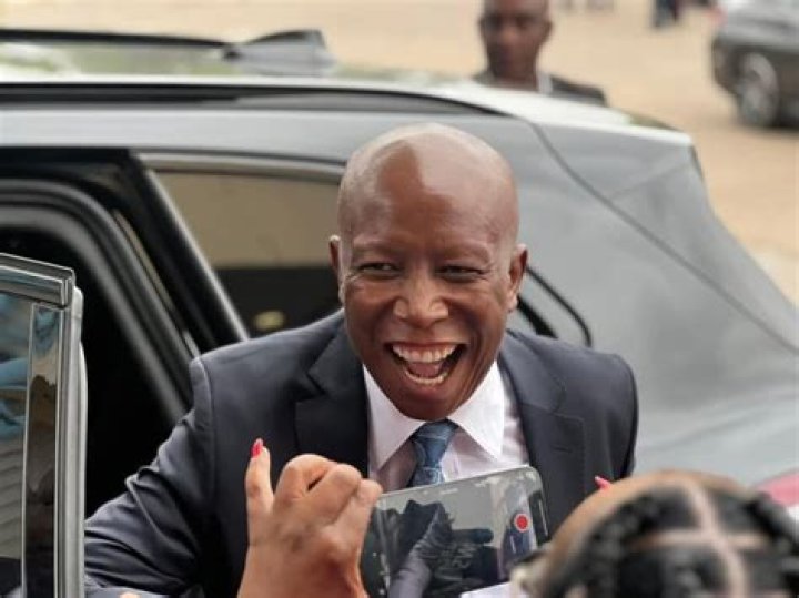 Unveiling Julius Malema's Wealth: Cars, Cash, And Controversies