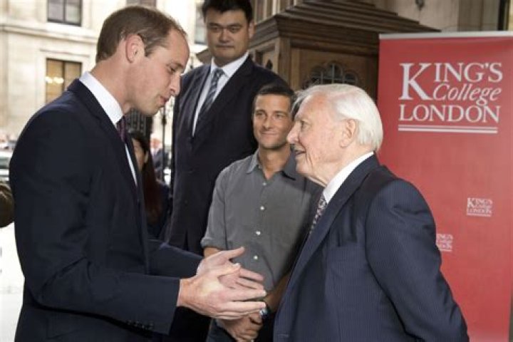 Unveiling Sir David Attenborough's Net Worth: Exclusive Insights