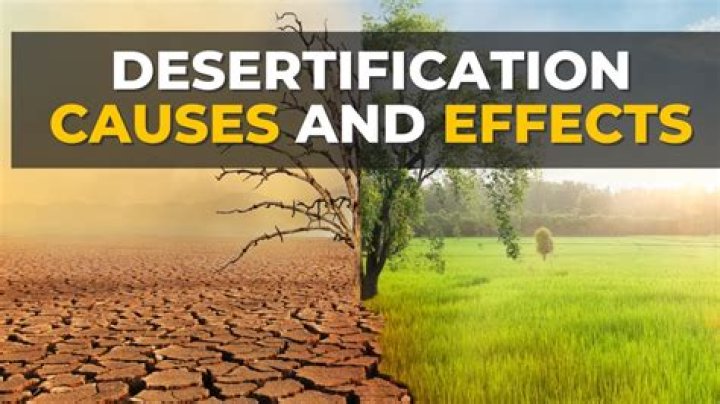 Unveiling The Causes And Seeking Solutions