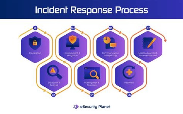 Unveiling The Crowd's Response And Its Impact