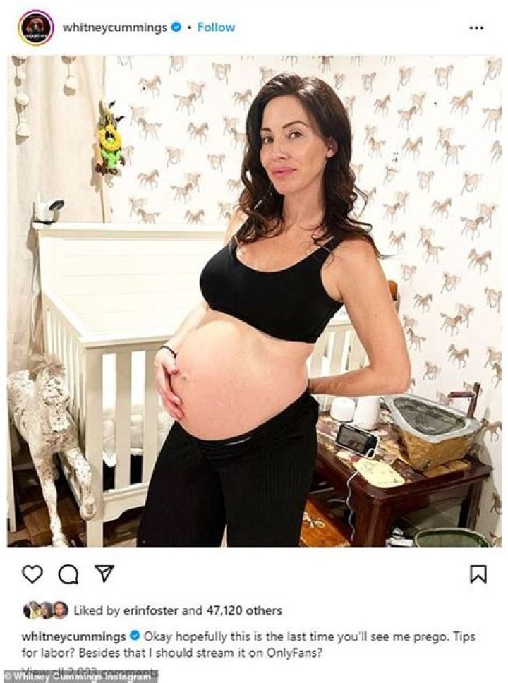 Unveiling The Father Of Whitney Cummings' Baby: Exclusive Insights Revealed