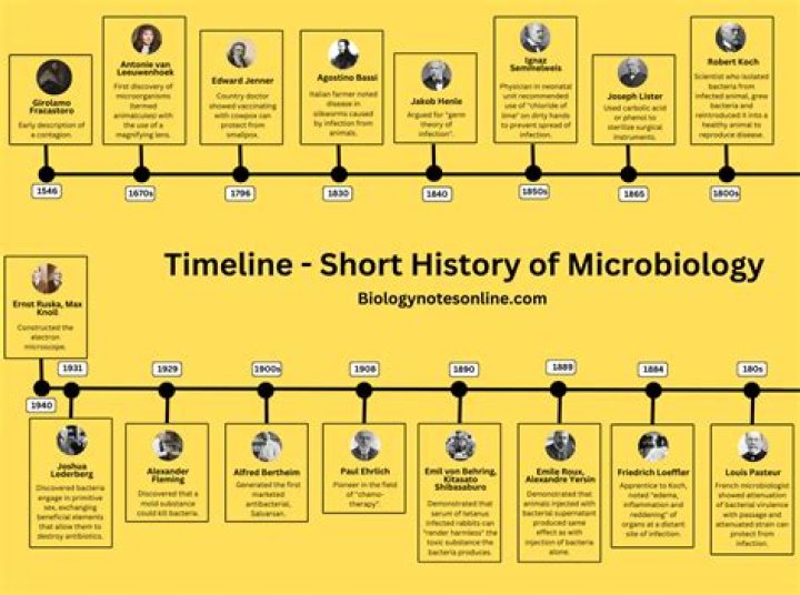 Unveiling The Hidden Story Behind "Amanda Ingram": Discoveries And Insights