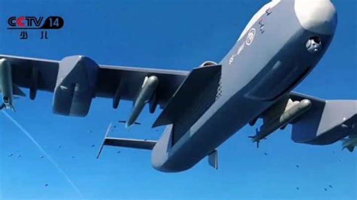 Wiki Biography Unveils Intimate Details